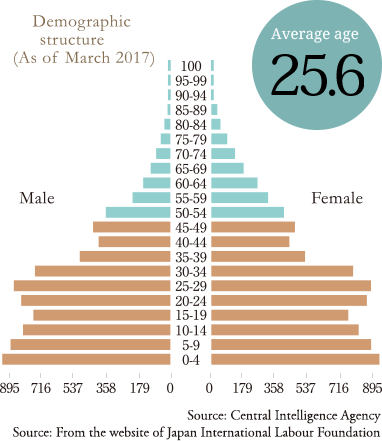 Demographic structure (As of March 2017)