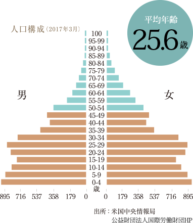 Demographic structure (As of March 2017)